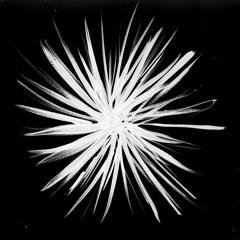Victor Ruiz & Thomas Schumacher - Tumbleweed
