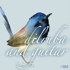 dilruba & guitar duets : 16-06-16