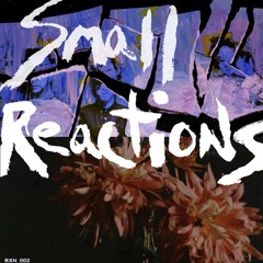 Small Reactions - "Sliding Glass Nightmare"