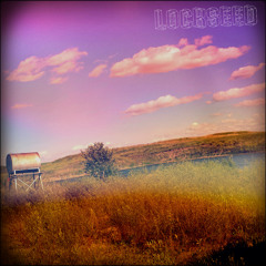 Lockseed