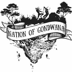 Paul Zehner @ Nation Of Gondwana 2017 - Schrank