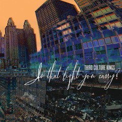 Is That Light You Carry?