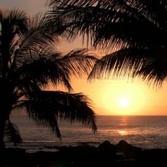 Im Not The Only One Tropical House Remix Jackie T