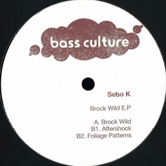 Sebo K - Foliage Patterns (Original Mix)