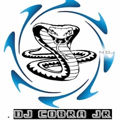 110 BPM - CUMBIA PERUANA FULL BASS - COBRA JR DJ RMX - PACK JULIO