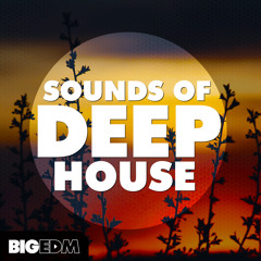 Sounds Of Deep House | 1,2 GB Of Construction Kits, Drums, Melodies & Presets!