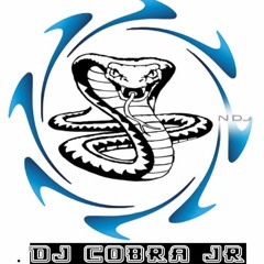 118 BPM - ORQUESTAS FULL BASS - COBRA JR DJ RMX - PACK JULIO