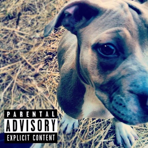 Priority  (skip this pt.2)