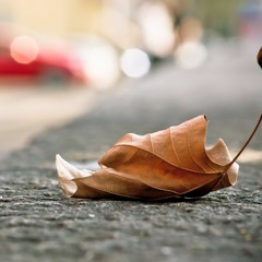 BTS - Not Today (GRAVITY REMIX)