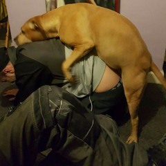 Filthy as fuck bassline mix