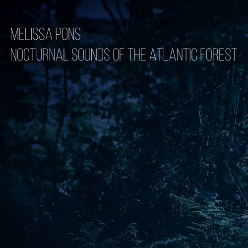 Nocturnal Sounds of the Atlantic Forest - nocturnal conversations