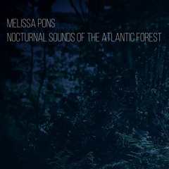 Nocturnal Sounds of the Atlantic Forest - twilight