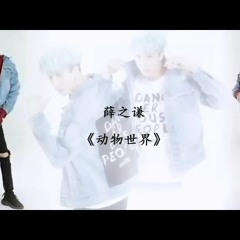 薛之谦《动物世界》