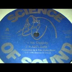 Science Of Sound - No Diggidy (1995)