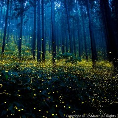 owl city - fireflies (remix)