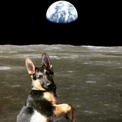 Divinans - Dog Days Mix