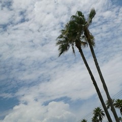 Lana  del Rey - blue jeans (DJ coast remix)