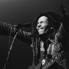 FENRIK - Pochon Vert