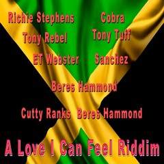 A Love I Can Feel Riddim