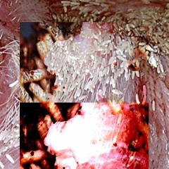 sham bone & lizard symbol - Curled In The Abyss