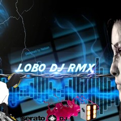 Mega Mix Alzate PAPA FT REGGAETON VS LOBO DJ RMX