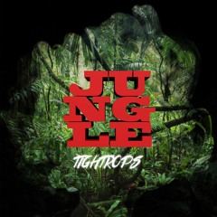 Jungle ( Original Mix )