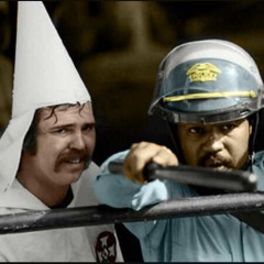 Confederates WON the War (35)