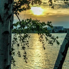 Ob 7 - 22 - 17 Whats The Difference Dr Dre