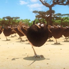 Flightless Kiwi Dance