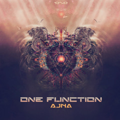 One Function - Young Man on Acid (Original Mix)