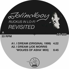 Blindboy - I Dream (Joe Morris 'Wolves Of Asha' Mix)