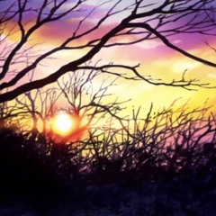 Mood Beat Tape (Prod by Funk$lap)