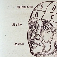 The Noose (YZ Chromosome)
