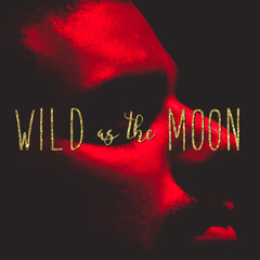 Wild as the Moon Series #2 - Vander