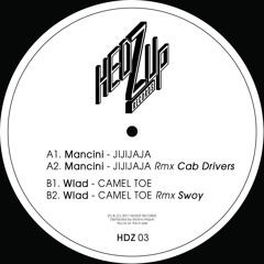 Premiere : Wlad - Camel Toe (Swoy remix) (HDZ03)