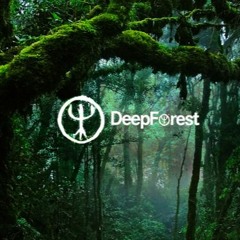 Deep Forest Part 01  2017 MIX SES (2)
