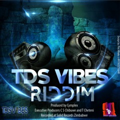 Seh Calaz - Changamire Dombo (TDS Vibes Riddim 2017 Cymplex Solid Records)