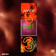 Nice & Ruff 3 Mix(1997) - DJ Smilee