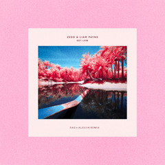 Zedd ft. Liam Payne - Get Low (SAG & Alsviik Remix)
