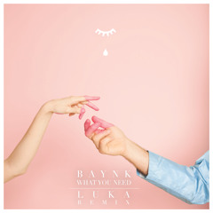 BAYNK Ft. NÏKA - What You Need (LUKA Remix)