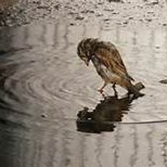 Lonely And Cold [Prod.Dseize]