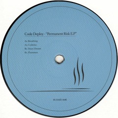 Code Deploy - Permanent Risk EP (BUDARE006)