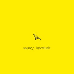 canary