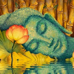 Meditate(Ft. Cory Malo & Rook)Prod by B. Young