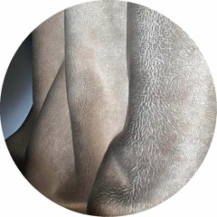 Panthera Krause - In My Hand