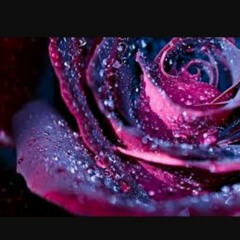 عبدالله الهميم-ظلام ظلام