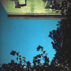 Blue Gold & Palm Trees