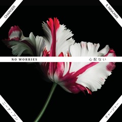 NO WORRIES (Feat. Nina Nelson)