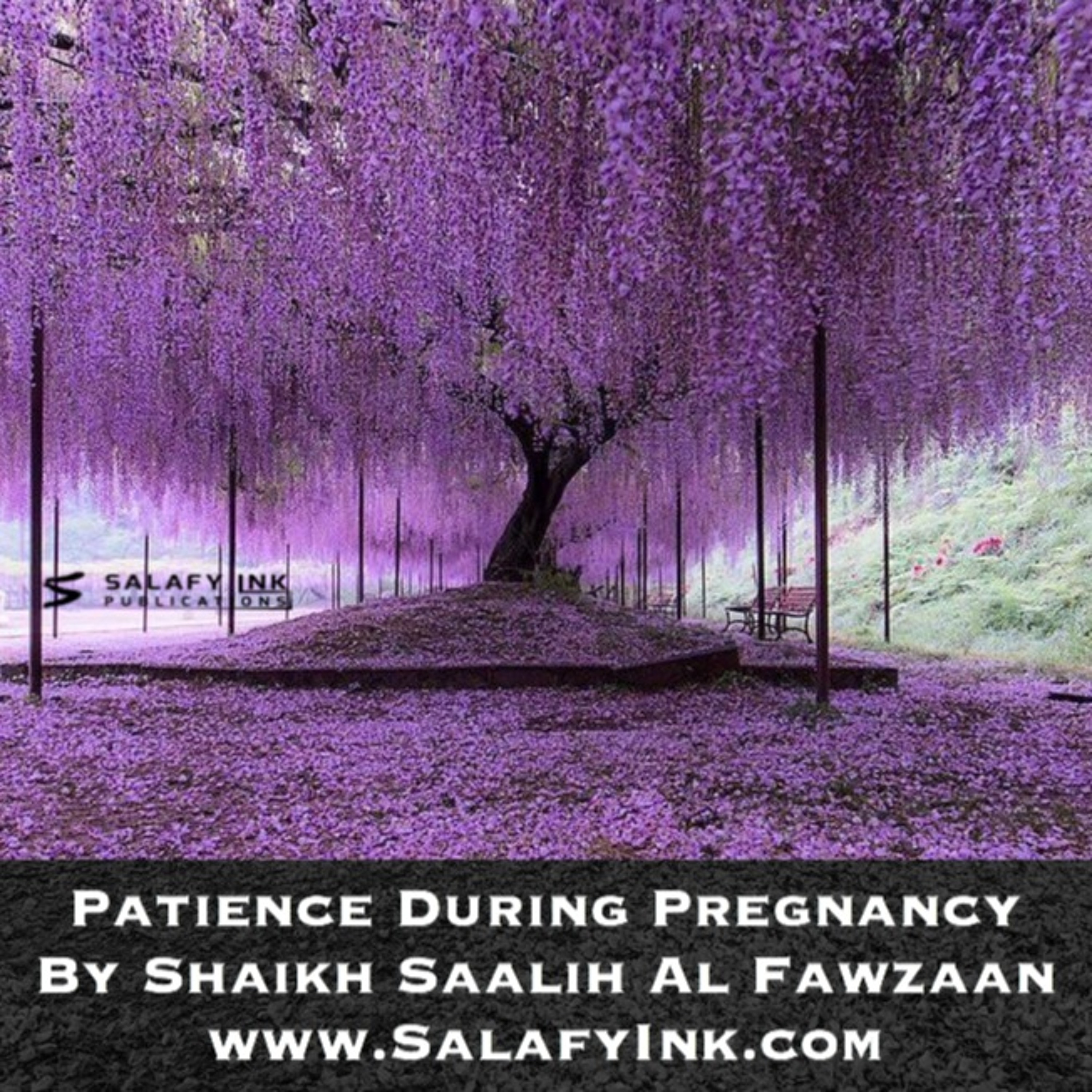 Patience During Pregnancy By Shaikh Saalih Al Fawzaan episode artwork