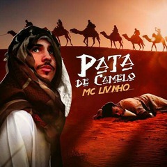 MC Livinho - Pata de Camelo (Video Clipe) Perera DJ.mp3